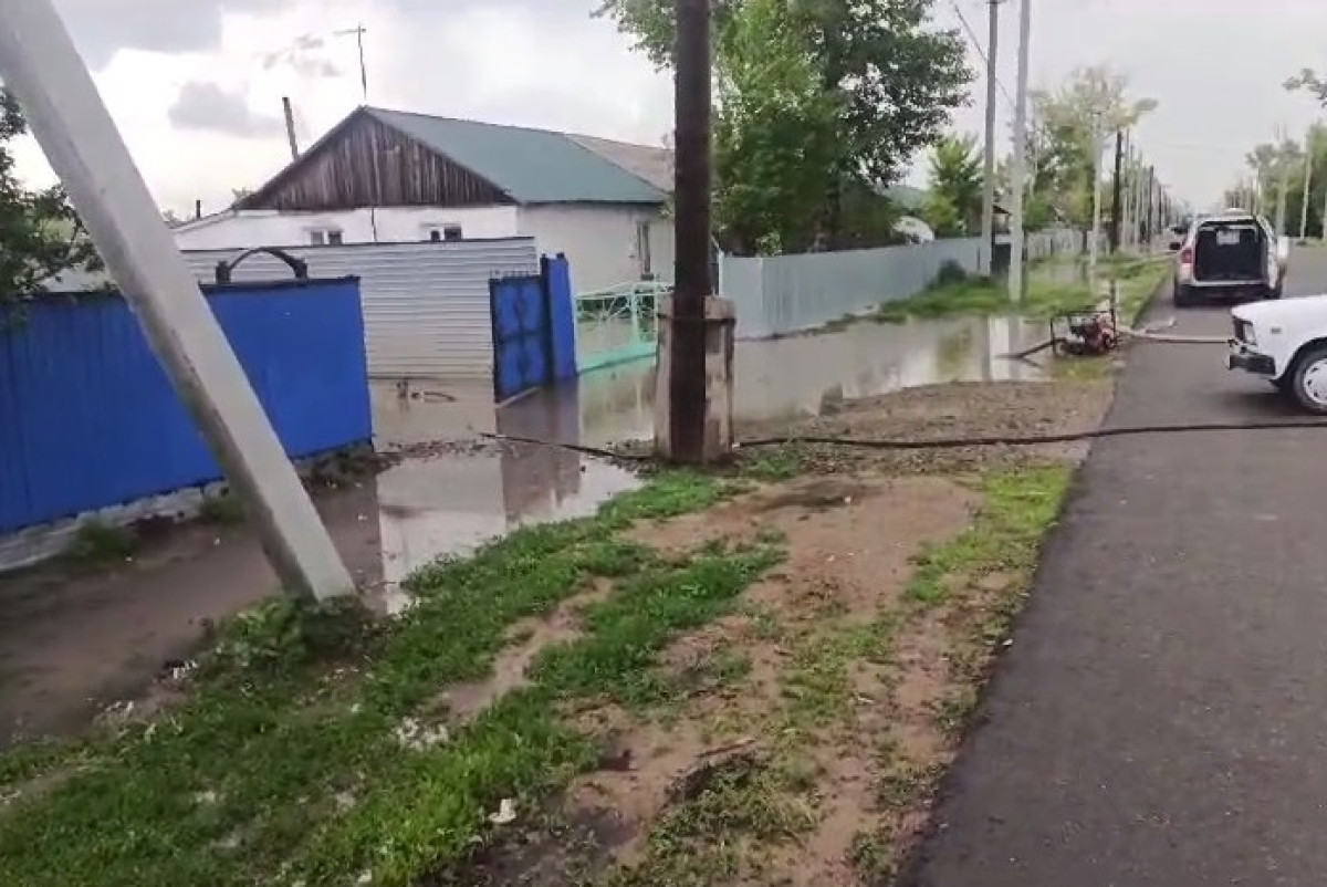 скриншот видео