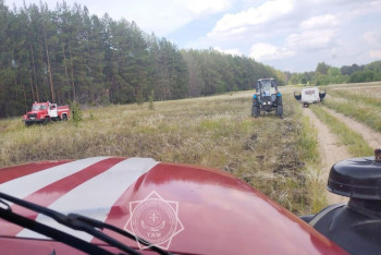 Фотография к новости: Виновника лесного пожара наказали в "Семей Орманы"