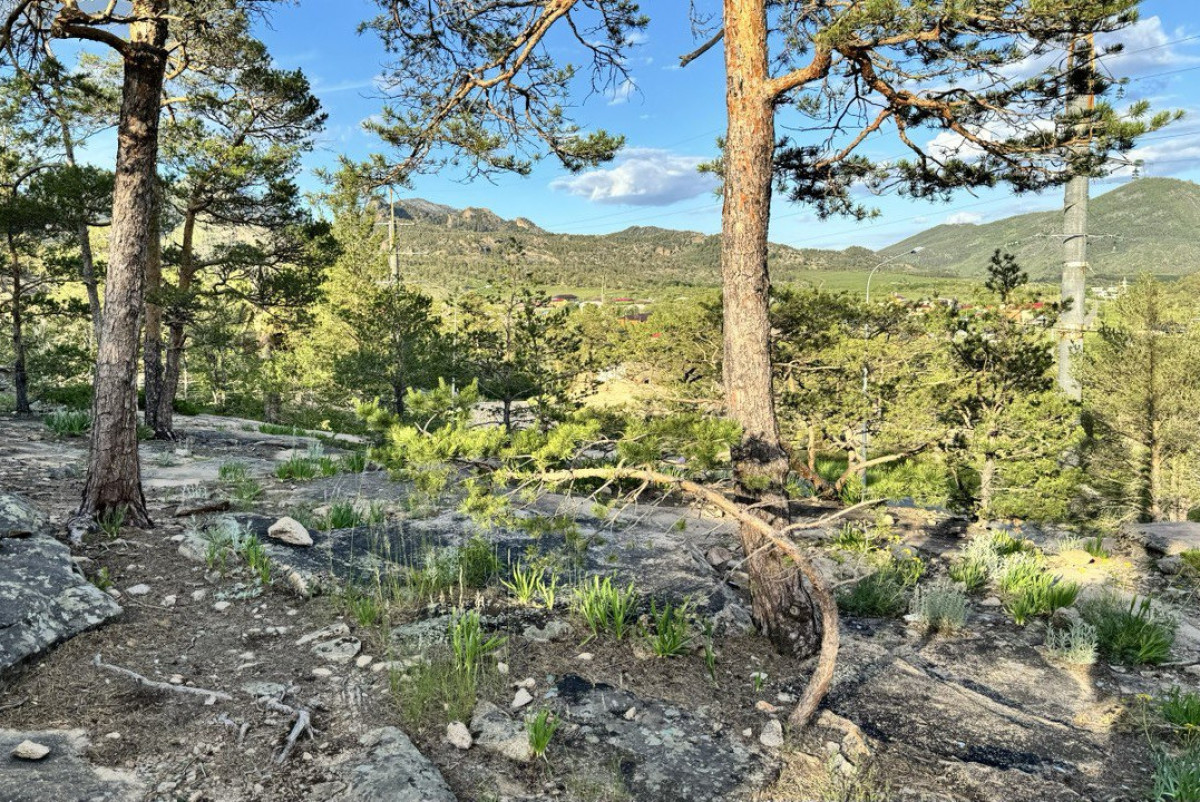 Анна Белобородова/BaigeNews.kz