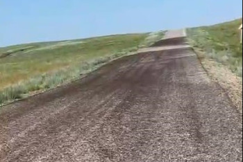 Фотография к новости: Саранча атаковала южные регионы Костанайской области