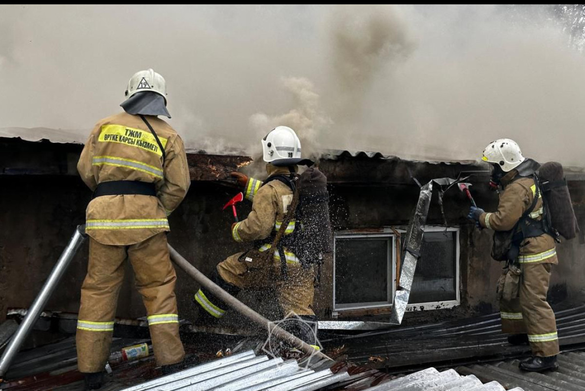 скриншот видео