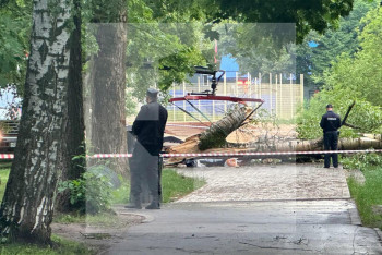 Мужчина с внуком погибли из-за упавшего на них дерева