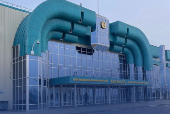 Через "Хоргос" пытались вывезти из Казахстана 112 штук рогов сайги