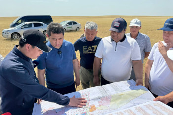 Свыше 2,5 тыс человек борются с саранчой в Казахстане