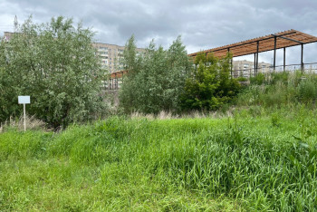 Есть ли эффект от обработок против гнуса почти за 3 млрд тенге в Павлодарской области?