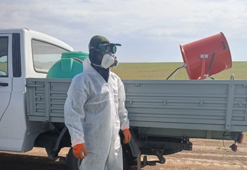 Фотография к новости: В Абайской области для борьбы с саранчой планируют закупить дроны