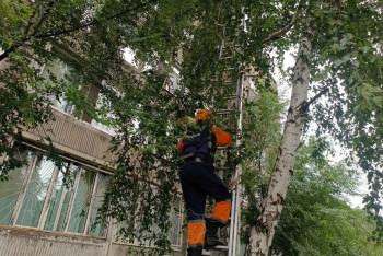 Счастливое спасение кошки сняли на видео в Усть-Каменогорске