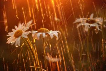 Сильную жару, грозы и шквалистый ветер обещают казахстанцам в понедельник