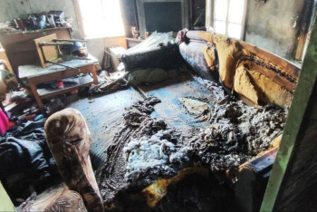 Кошка перегрызла проводку и устроила пожар в квартире