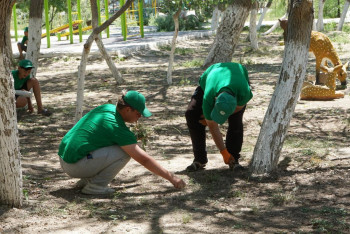Фотография к новости: Кызылординцы активно участвуют в акции "Таза Қазақстан"