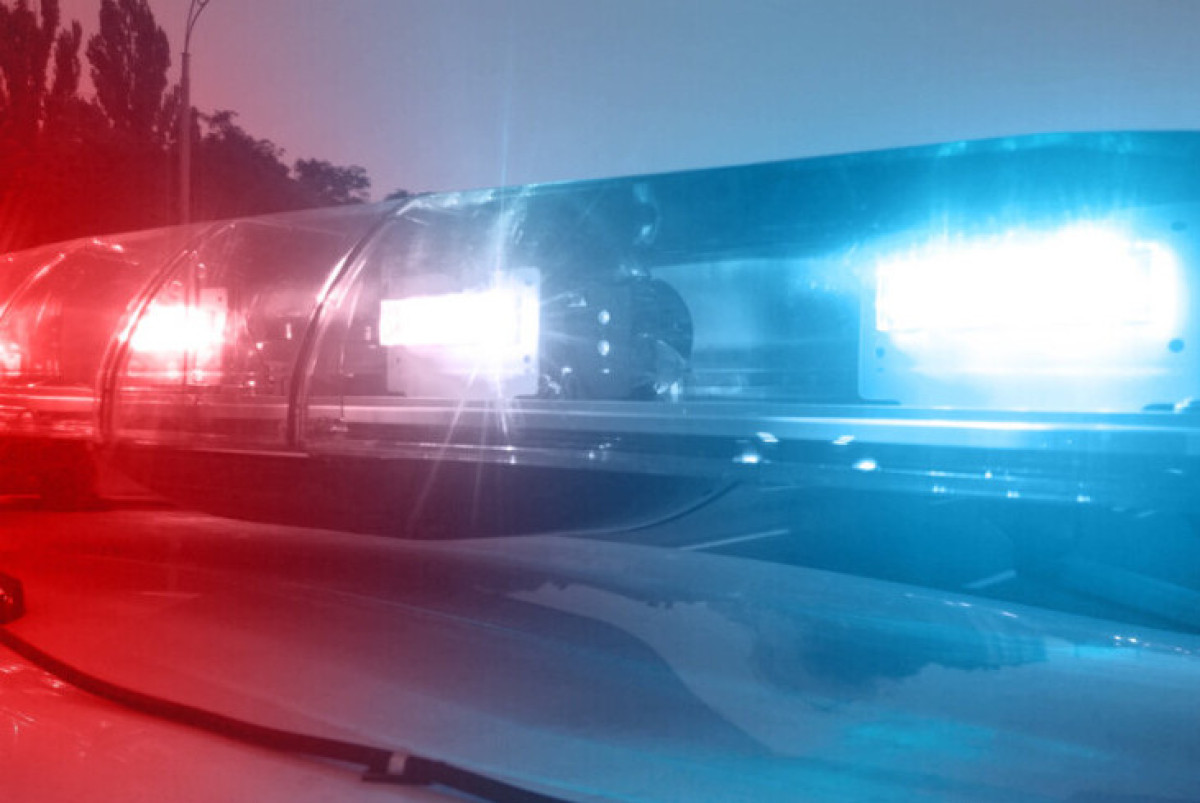 Shutterstock/FOTODOM