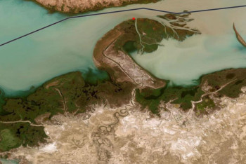 Фотография к новости: Пожар в Иле-Балхашском резервате: об угрозе населению высказались в МЧС