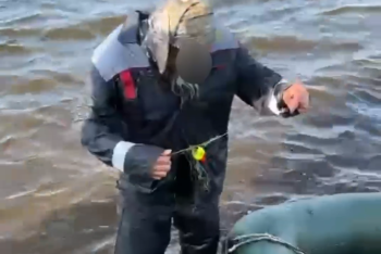 Фотография к новости: Тонущего рыбака спасли в Акмолинской области