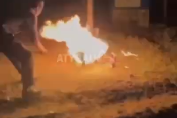 Двое парней заживо подожгли собаку в Атырауской области