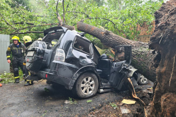 Фотография к новости: На Москву обрушился ураган "Эдгар", есть жертвы