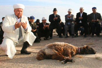 Фотография к новости: Мы же не формируем график Луны - Жакупова о пропавшем выходном на Курбан айт