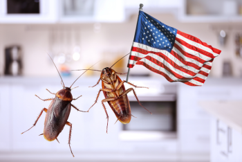 Фотография к новости: Огромный таракан прервал брифинг Госдепа США