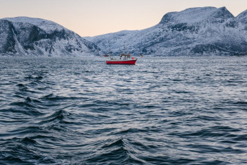 Крушение лодки: 34 человека погибли у берегов Италии