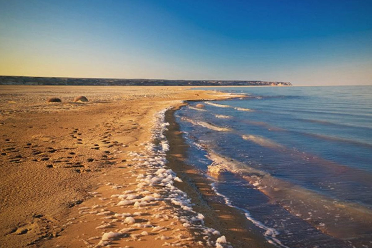 открытые источники