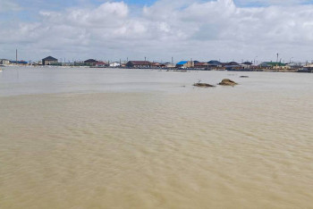 Фотография к новости: Это неправда: Бозумбаев о покупке дешевых предметов быта пострадавшим от паводков