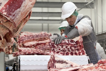 Фотография к новости: Казахстан экспортировал в Китай первую за два года партию говядины