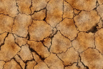 Фотография к новости: В ряде регионов Казахстана в июле прогнозируют засуху