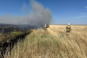 Трава загорелась на окраине Арыси