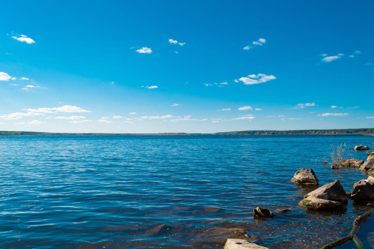 pexels.com / иллюстративное