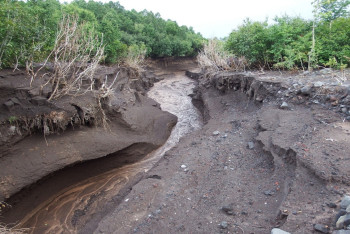 Как вести себя при сходе селя рассказали в МЧС РК