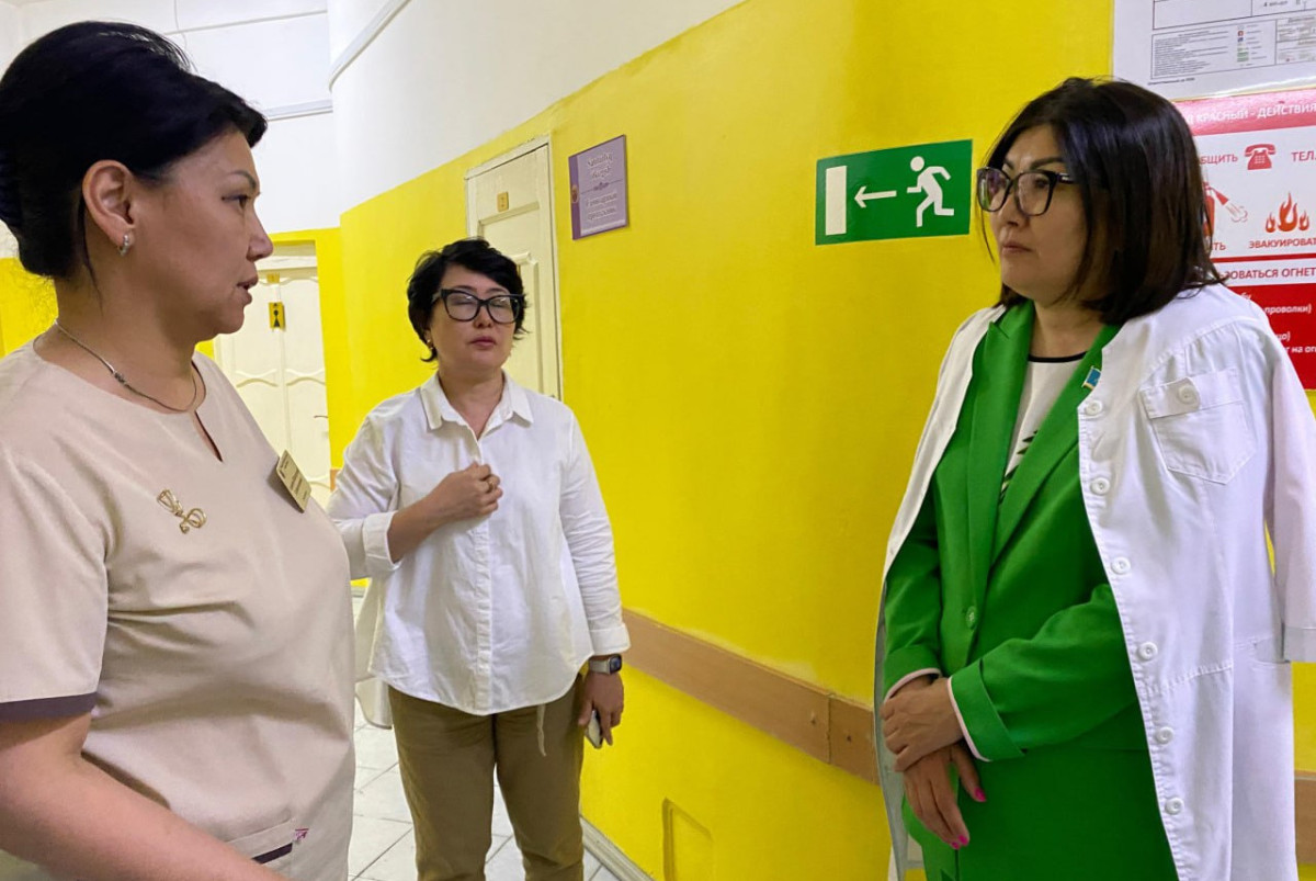 Финансирование медцентров в Алматы обсудили депутаты