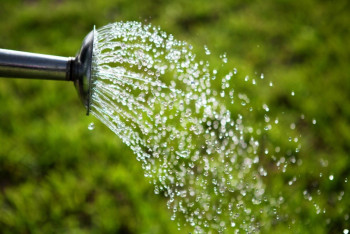 Иранские компании готовы предоставить Казахстану современные системы полива