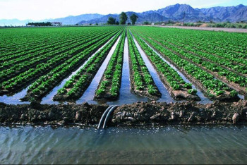 Национальный университет водного хозяйства и ирригации откроют в Таразе