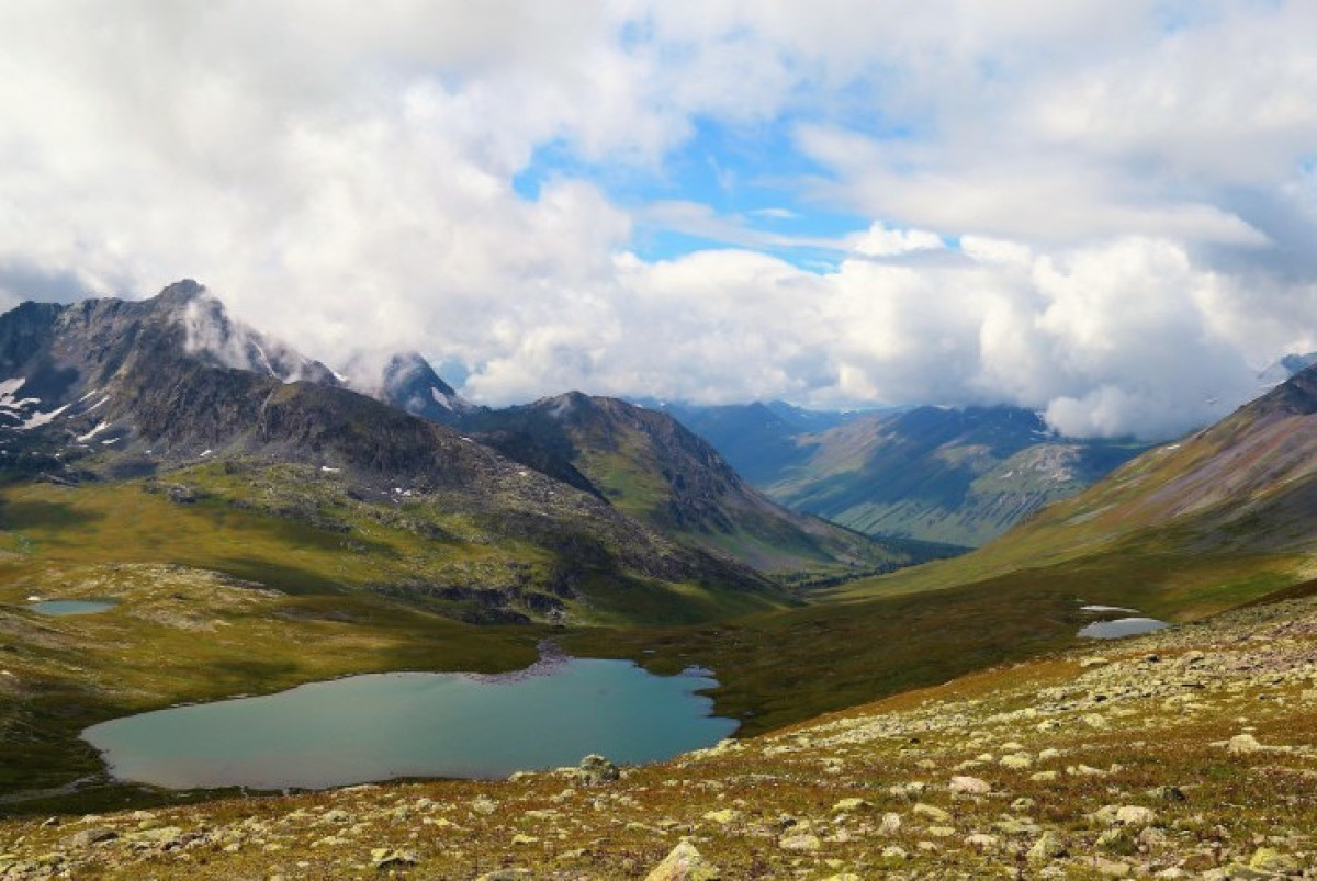 Максим Маслов
