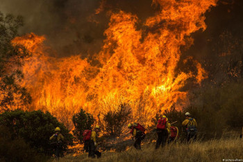 Фотография к новости: Более 13 тысяч жителей эвакуировались из-за лесных пожаров в Калифорнии