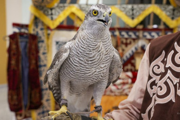 Появились подробности, как будет выглядеть этноаул на Всемирных играх кочевников в Астане