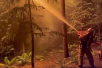 Пожар в двухэтажном банном комплексе ликвидировали в Алматы