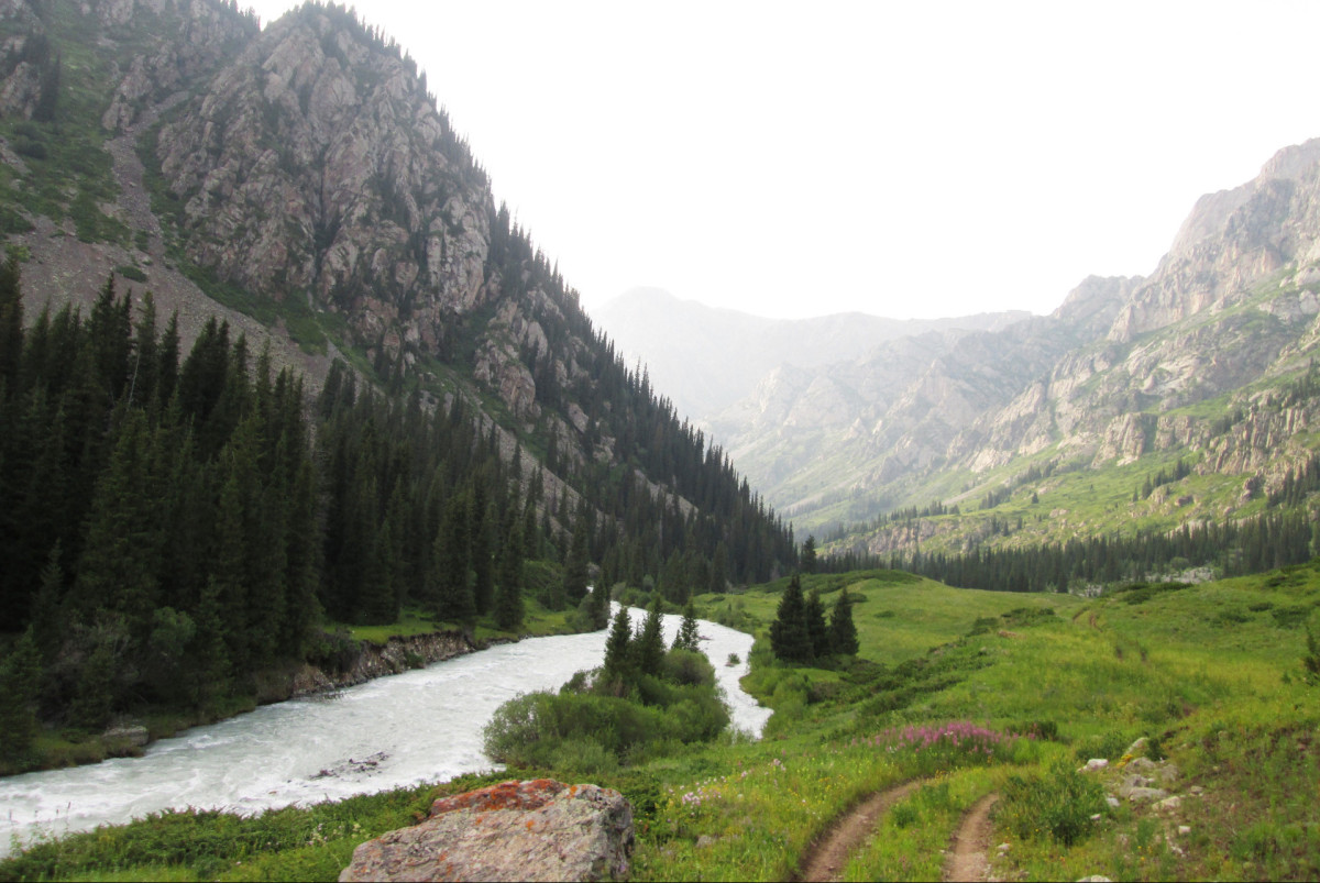 иллюстрация KorovikovP/drive2.ru/