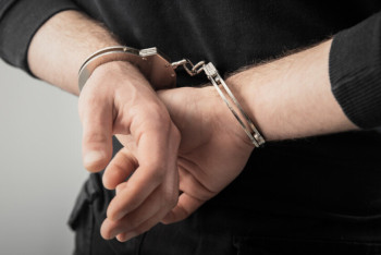 Пассажир пытался провезти в брюках сотню живых змей