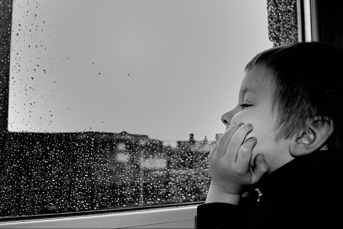 Иллюстративное фото/pxhere.com