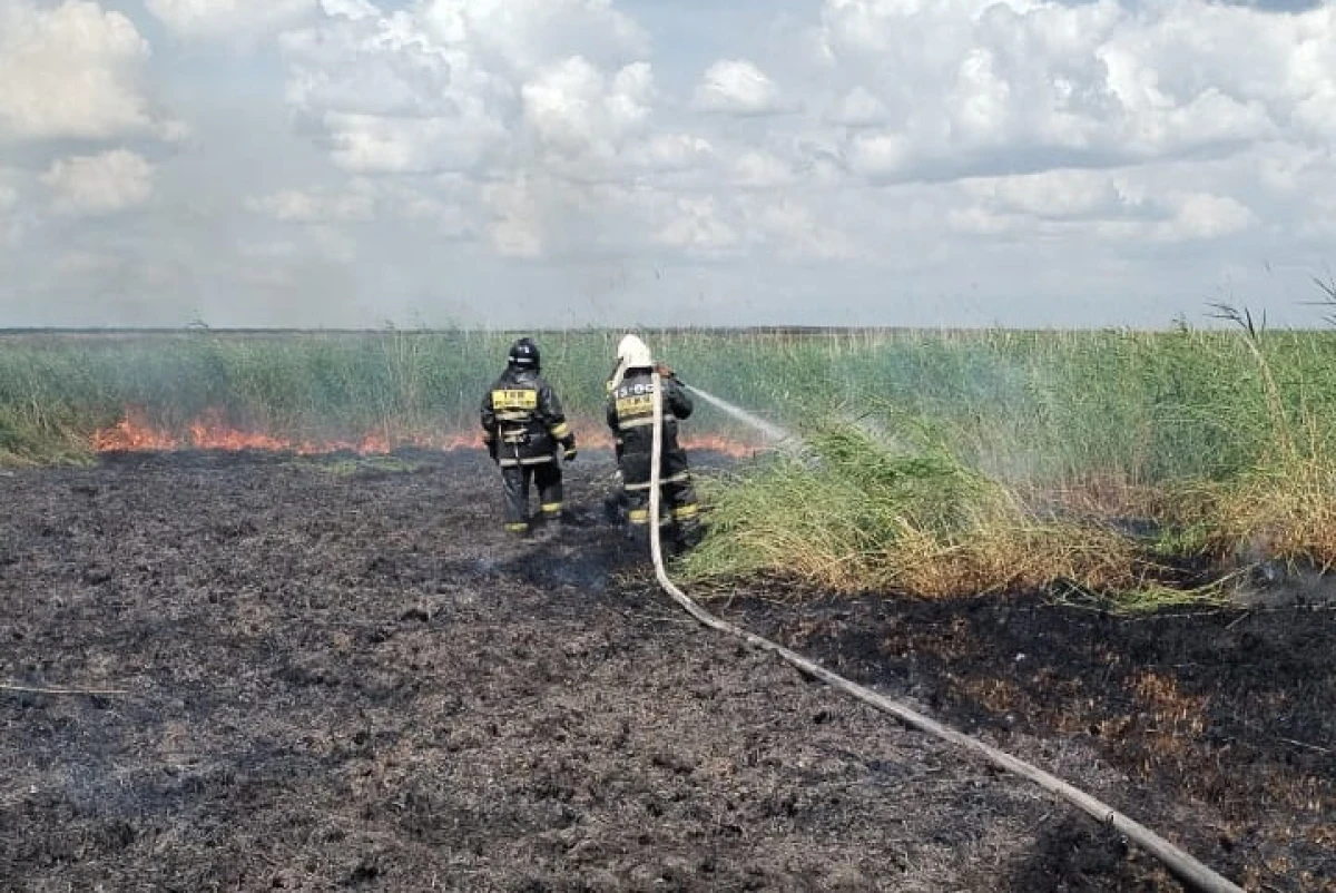 ДЧС Акмолинской области