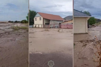 Грязевой сток сошёл на село в Алматинской области
