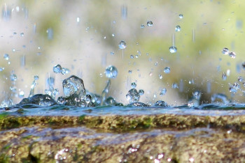 Фотография к новости: Смерть абитуриента на территории КазНУ: точную причину гибели покажут две экспертизы