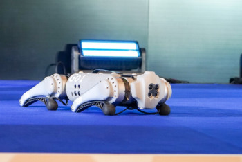 Робота-уборщика окурков создали инженеры из Италии