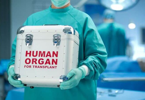 Фотография к новости: Пациенты на диализе в Казахстане требуют вернуть квоты на пересадку органов за границей