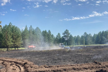 Фотография к новости: Лесной пожар произошёл в Павлодарской области