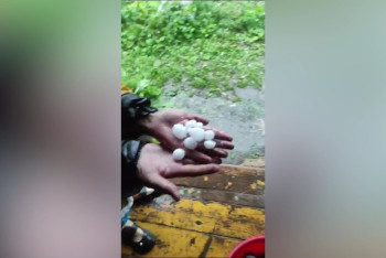 Фотография к новости: Мощный град уничтожил огороды дачников в Усть-Каменогорске