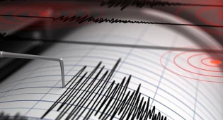 В Калифорнии произошло землетрясение магнитудой 4,9