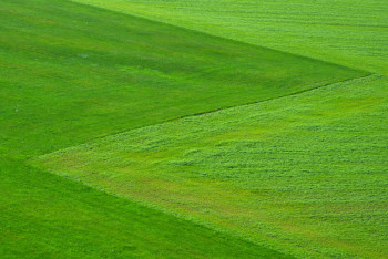 Фотография к новости: Землю изъяли у предпринимателя в Алматы