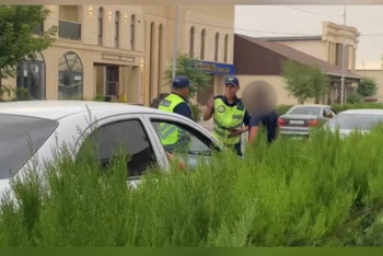 Должника по алиментам и штрафам на 153 млн выявили в Туркестане