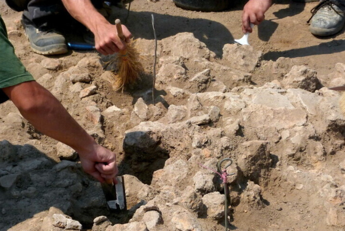 Shutterstock/FOTODOM